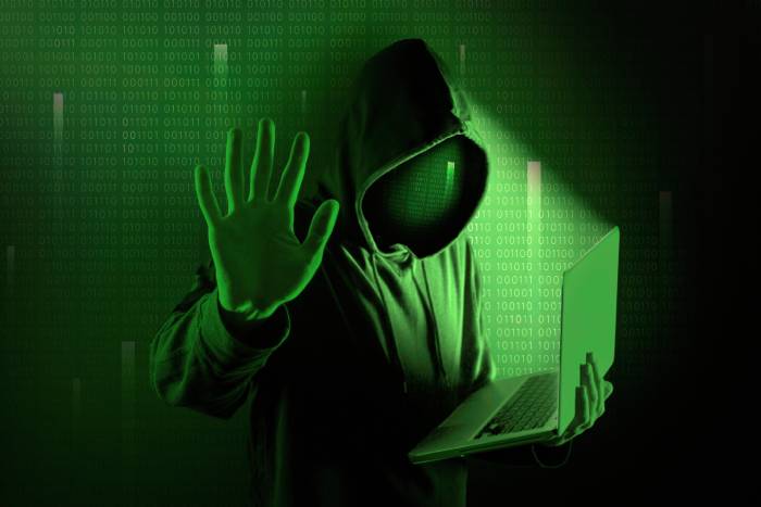 Cyber Crime